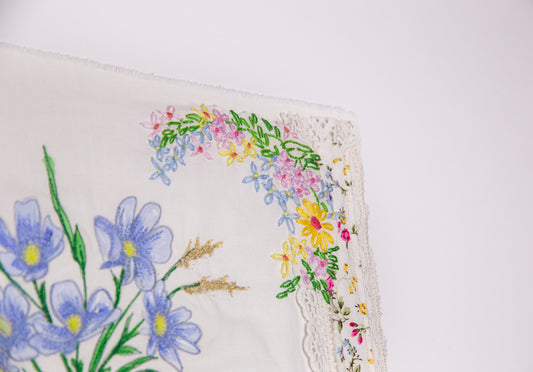 Daisies at Poolegarth Cottage