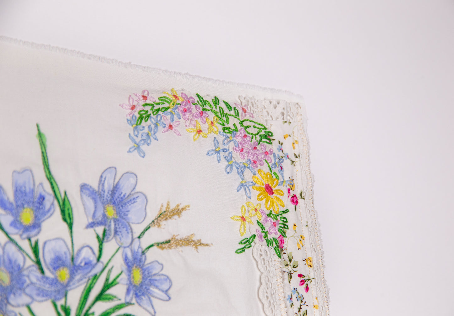 Daisies at Poolegarth Cottage